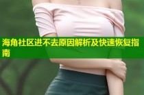 海角社区进不去原因解析及快速恢复指南