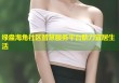 绿盎海角社区智慧服务平台助力宜居生活