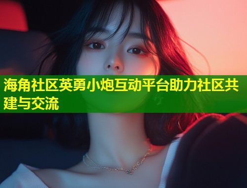 海角社区英勇小炮互动平台助力社区共建与交流  第1张