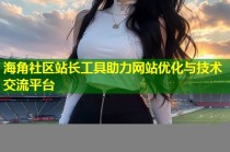 海角社区站长工具助力网站优化与技术交流平台