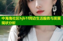 中海角社区hjb1f周边生活服务与发展现状分析
