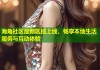 海角社区最新区域上线，畅享本地生活服务与互动体验