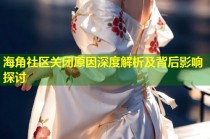 海角社区关闭原因深度解析及背后影响探讨