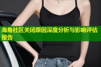 海角社区关闭原因深度分析与影响评估报告