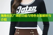 海角社区广场的功能与特色全面解析与介绍