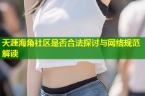 天涯海角社区是否合法探讨与网络规范解读