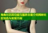 海角社区的功能与服务全面介绍揭秘社区特色与发展方向