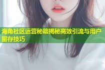 海角社区运营秘籍揭秘高效引流与用户留存技巧