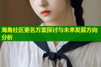 海角社区更名方案探讨与未来发展方向分析