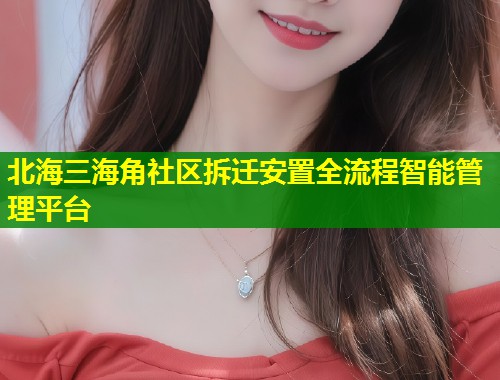 北海三海角社区拆迁安置全流程智能管理平台  第2张