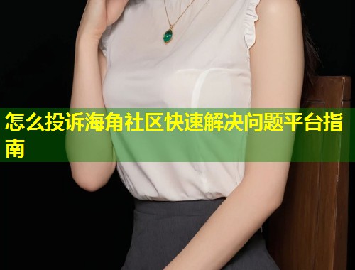 怎么投诉海角社区快速解决问题平台指南  第1张
