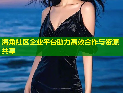 海角社区企业平台助力高效合作与资源共享  第1张