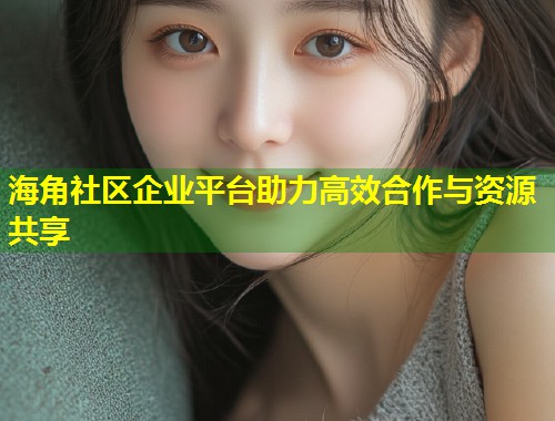 海角社区企业平台助力高效合作与资源共享  第2张