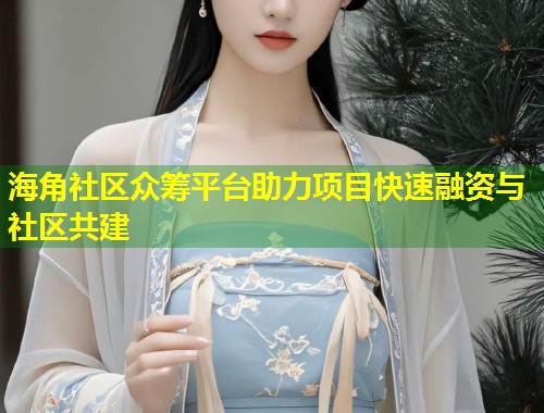海角社区众筹平台助力项目快速融资与社区共建  第1张
