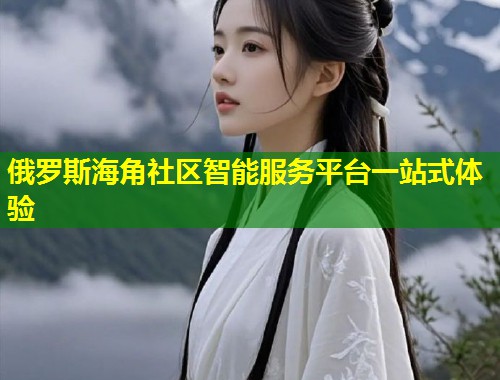 俄罗斯海角社区智能服务平台一站式体验  第1张
