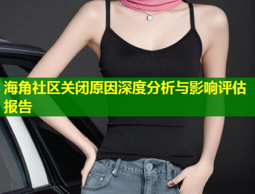 海角社区关闭原因深度分析与影响评估报告  第1张
