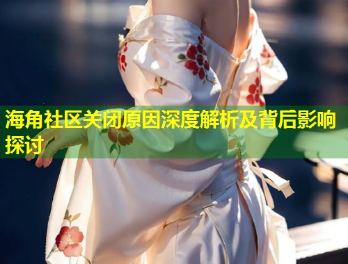 海角社区关闭原因深度解析及背后影响探讨  第1张