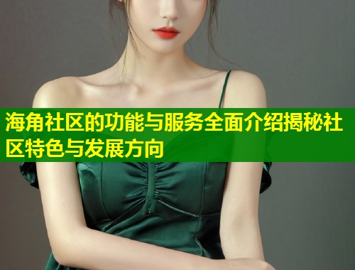 海角社区的功能与服务全面介绍揭秘社区特色与发展方向  第1张