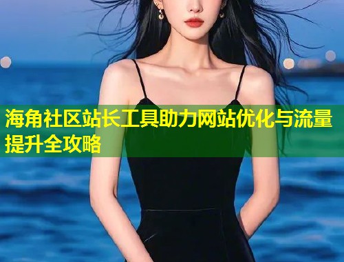 海角社区站长工具助力网站优化与流量提升全攻略  第2张