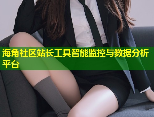 海角社区站长工具智能监控与数据分析平台  第1张