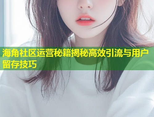 海角社区运营秘籍揭秘高效引流与用户留存技巧  第1张
